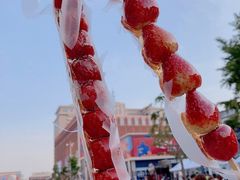 山楂冰糖葫芦-和平菓局(王府井店)