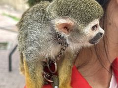 -水上乐园·欢乐世界