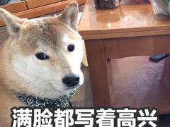 -UME影城(西城广场店)