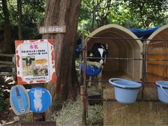 -神户市立六甲山牧场