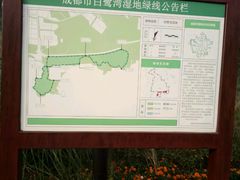 -白鹭湾湿地公园