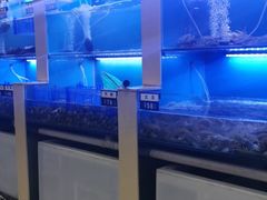 -老虎滩大连海鲜烧烤(建邺云锦路总店)