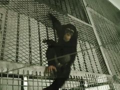 -无锡动物园·太湖欢乐园
