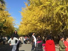 -辽宁大学(崇山校区)