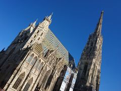 -斯蒂芬主教座堂(Stephansdom)