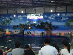 -石家庄极地海洋世界
