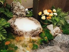 -鲁班张葱烧海参(马庄街店)