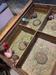 -酷嗒动物文化乐园(cutezoo西溪乐天城店)