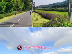 -梧桐山风景名胜区