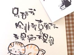 -海边的猫和咖啡馆