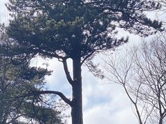 -湖州龙王山景区