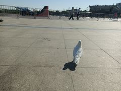 -泰达航母主题公园