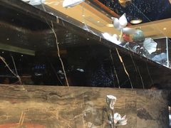 -红辣椒·川菜·火锅(张杨路店)