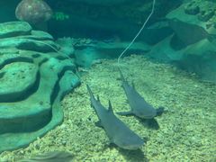 -龙谷湾旅游休闲度假区