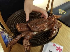-鲔屋寿喜烧