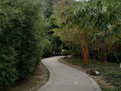 -火炉山森林公园
