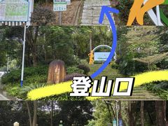 -火炉山森林公园