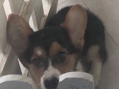 -瑞幸咖啡(宜兴万达金街店)