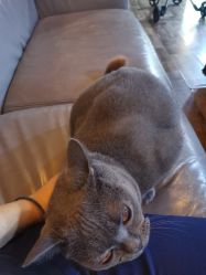 -青木造型HAIR·あおき髪を刈る潮人店