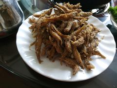 -野菌皇海景野生菌火锅(滨海大道店)