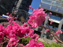 -多乐之日(五道口店)