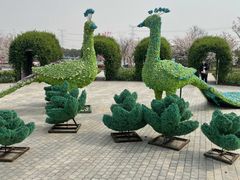 -上海杨姆庄园