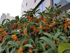 -燕莎友谊商城(亮马桥店)