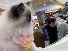 -吾悦广场(南京鼓楼店)