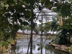 -南通洲际绿博园