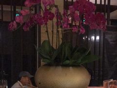 -品悦(崇明凯悦店)