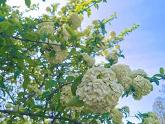 -白塘生态植物园