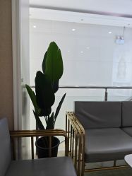 -坤如玛丽·医疗美容中心