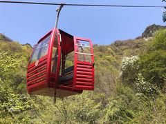 -王顺山国家森林公园