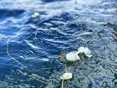 -丽江泸沽湖景区