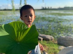 -天津东丽湖风景区