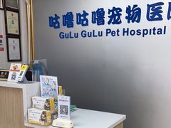 -咕噜咕噜宠物医院·CT·肿瘤科·骨科(前海院)