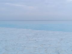 -瑰丽酒店·海吧·天际下午茶·现场DJ·天台酒吧