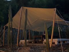 -MOJ coffee(瓯海泽雅水碓坑店)