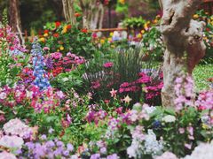 -深圳市中科院仙湖植物园