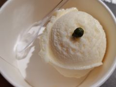 花椒冰淇淋-烤匠麻辣烤鱼(环球中心店)