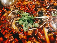 -味之绝热血美蛙鱼火锅(中坝店)