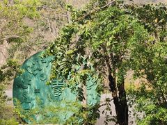 -西双版纳原始森林公园