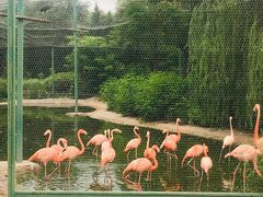 -辛玛王国游乐园