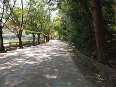 -李小龙乐园(顺德均安店)