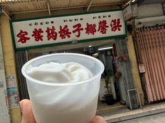 -洪馨椰子