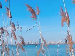 -石湖景区