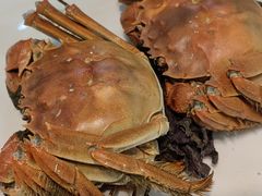 -老字号蛇口德记烧腊饭店·海鲜加工