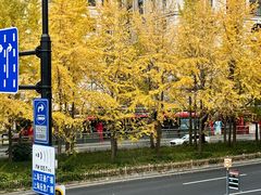 -花马天堂云南餐厅 Lost Heaven(外滩店)