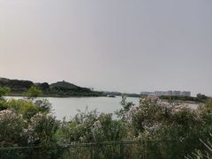 -立新湖公园