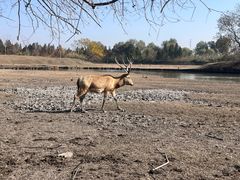 -溱湖国家湿地公园
